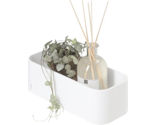 Étagère murale avec plante et bâtonnets parfumés