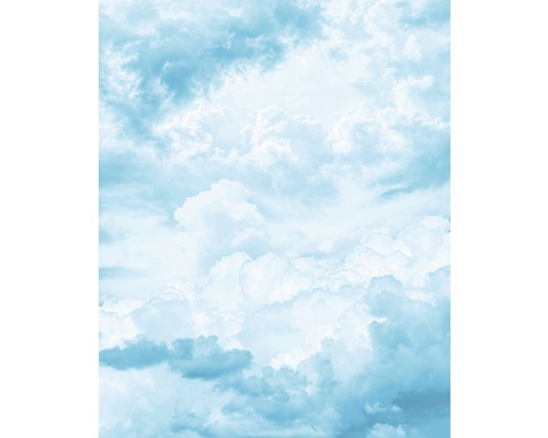 Papier peint panoramique intissé X4-1026 Voûte céleste 4 pces 200 x 250 cm Ciel clair avec des nuages