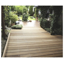 Garten mit Holzterrasse und Bepflanzung