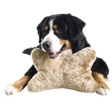 Bouvier bernois avec un os comme jouet pour chien dans la gueule