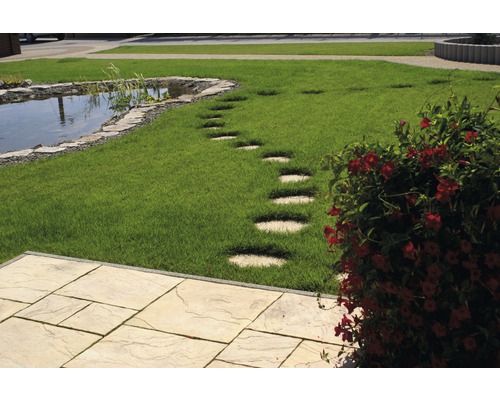 Scène de jardin avec bassin, pelouse, pas japonais et terrasse