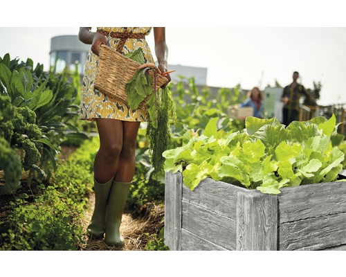 Szene eines Gartens mit einem Hochbeet aus Holz, bepflanzt mit Salat, sowie einer Person mit einem Erntekörbchen.