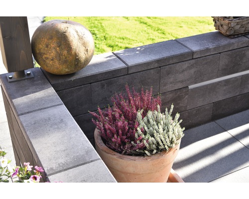 Scène de jardin avec mur, boule et pot avec bruyère