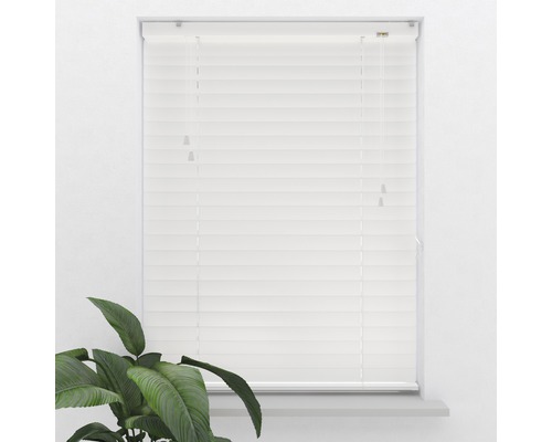 Fenster mit Jalousie für Lichtregulierung und Privatsphäre