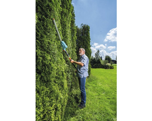 Une personne taille une haie dans le jardin avec un taille-haie sans fil à manche télescopique.