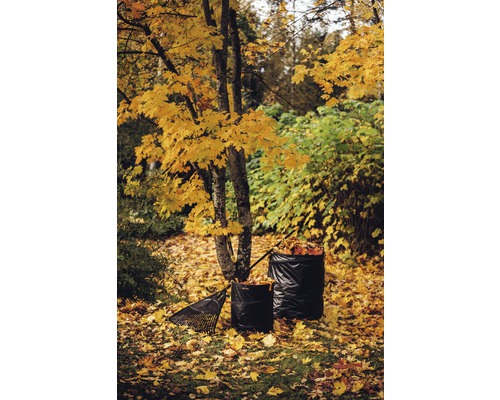Scène d''automne avec des feuilles, un râteau et des sacs à ordures dans le jardin