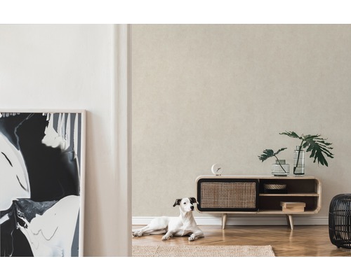 Pièce lumineuse avec papier peint à motifs, meuble bas, plantes d''intérieur et un chien