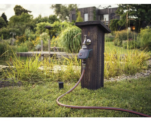 Contrôle d''irrigation avec robinet et tuyau dans le jardin