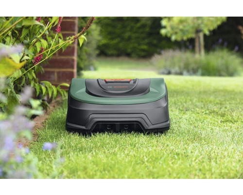 Robot tondeuse dans le jardin