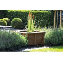 Jardinière carrée en bois avec plantes aquatiques dans le jardin