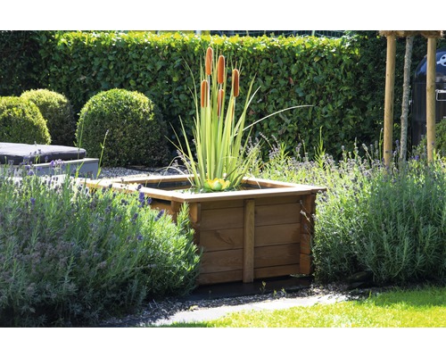 Jardinière carrée en bois avec plantes aquatiques dans le jardin