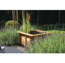 Bassin de jardin carré en bois avec massettes et lavande dans le jardin