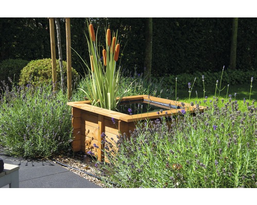 Bassin de jardin carré en bois avec massettes et lavande dans le jardin