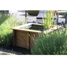 Jardinière en bois remplie d''eau et de plantes