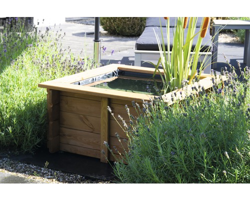 Jardinière en bois remplie d''eau et de plantes