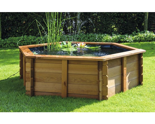 Bassin de jardin hexagonal en bois avec plantes aquatiques et nénuphar