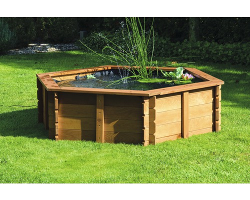 Bassin de jardin hexagonal avec cadre en bois, plantations et jet d''eau