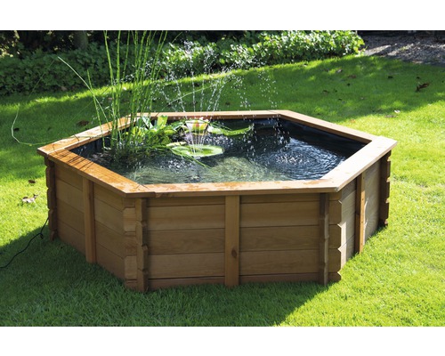 Bassin hexagonal en bois avec jet d''eau et plantes aquatiques dans le jardin
