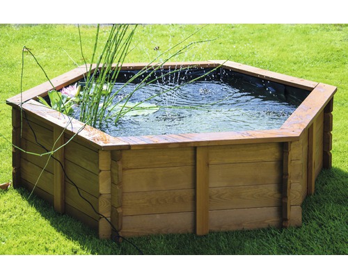 Bassin hexagonal en bois avec plantes aquatiques dans le jardin
