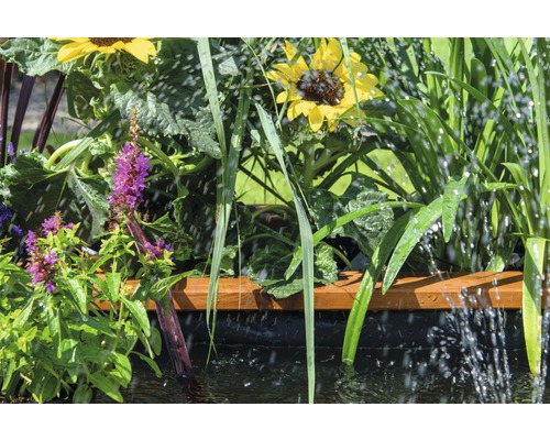 Gartenszene mit Sonnenblumen und anderen Pflanzen in einem Teich