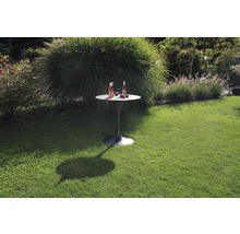 Runder Gartentisch auf einer grünen Rasenfläche mit Getränken und Obst.