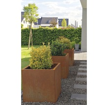 Trois jardinières en métal dans le jardin avec des plantes