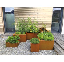 Plusieurs bacs à fleurs rectangulaires en métal plantés dans le jardin