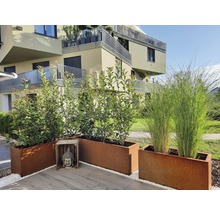 Pots de fleurs décoratifs en métal sur une terrasse devant un immeuble résidentiel.