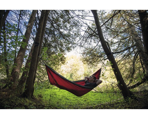 Mann liegt in einer Hängematte zwischen Bäumen in einem Wald.
