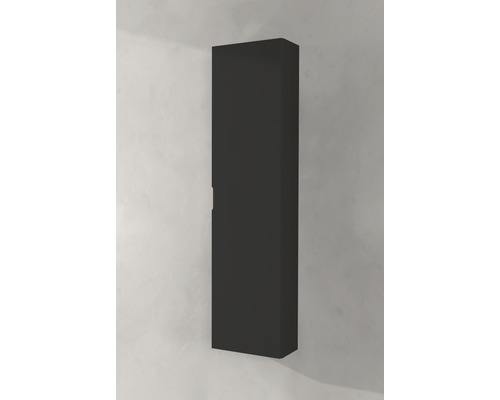 Armoire de salle de bain verticale pour montage mural