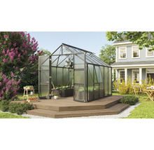 Serre Vitavia Olymp 8300 panneaux alvéolés 4 mm 257 x 324 cm noir