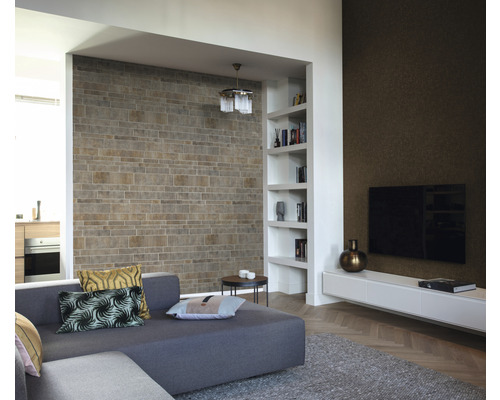 Salon moderne avec mur en pierre, bibliothèque, canapé gris et télévision