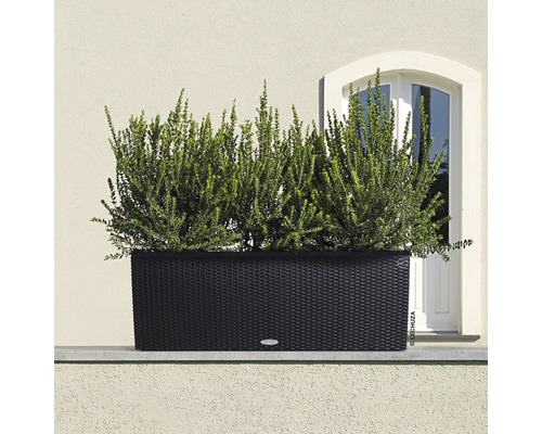 Schwarzer Pflanzkasten mit Bepflanzung vor einer Hauswand
