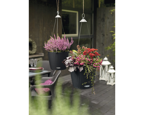 Deux jardinières suspendues avec des fleurs sur une terrasse.