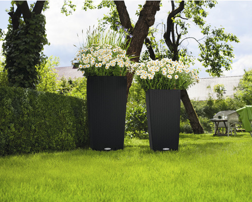 Zwei Pflanzgefäße mit Blumen in einem Garten.