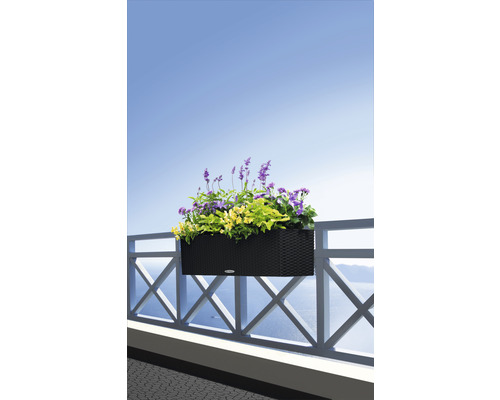 Jardinière avec fleurs sur un garde-corps de balcon