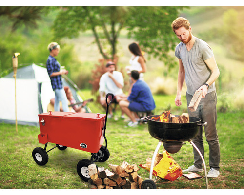 Scène d''extérieur avec barbecue, charbon de bois et chariot réfrigérant lors d''une garden-party