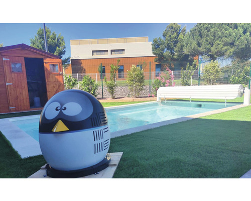 Piscine avec couverture de piscine, pompe à chaleur de piscine et abri de jardin