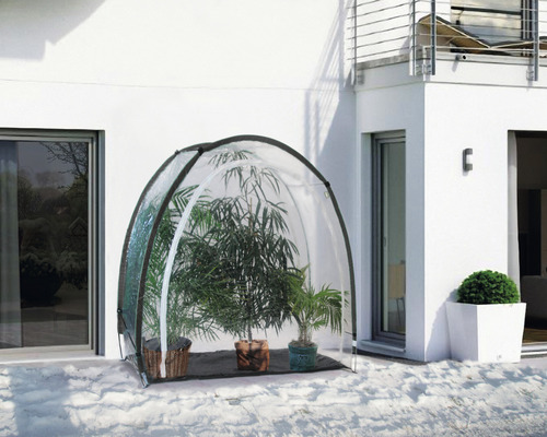 Serre dans le jardin avec des plantes sous la couverture transparente.