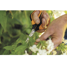 Gartenschere beim Schneiden von Pflanzen