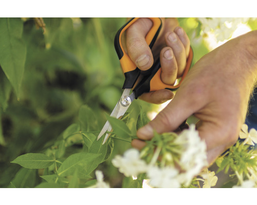 Gartenschere beim Schneiden von Pflanzen