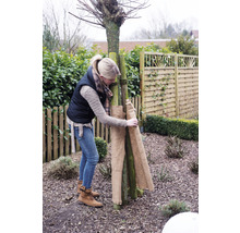 Frau bringt Jute-Winterschutz an einem Baum im Garten an