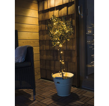 Arbre décoratif avec des lumières dans un seau sur une terrasse.