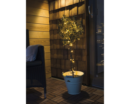 Arbre décoratif avec des lumières dans un seau sur une terrasse.