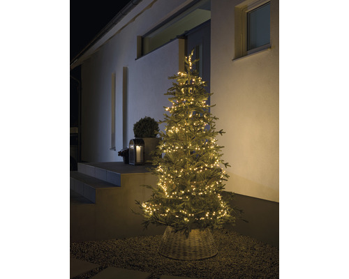Weihnachtsbaum mit Beleuchtung im Aussenbereich vor Hauseingang