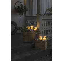 Décoration lumineuse avec figurines d''animaux sur une véranda