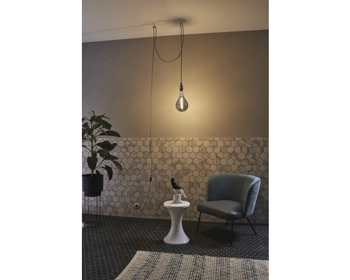 Vue d'une pièce avec suspension, fauteuil et plante d'intérieur en pot