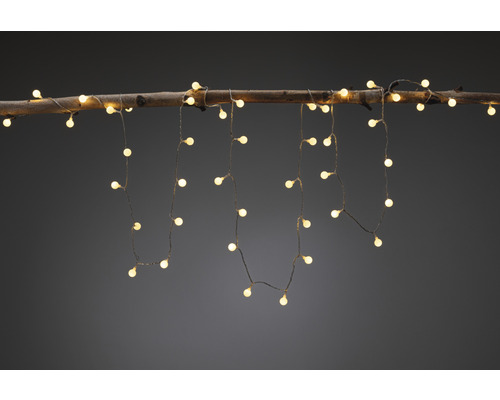 Lichterkette mit LED-Leuchten an einem Ast