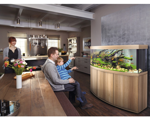 Famille regardant l''aquarium dans le salon avec des poissons et des plantes