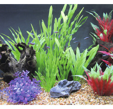 Dekoratives Aquarium mit Pflanzen, Steinen, Holzwurzeln und Fischen